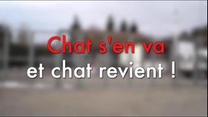 Chat s'en Va et Chat Revient (5m)